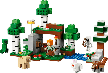 DISPONIBILE DA GIUGNO 2026 - 21593 LEGO Minecraft - Avventura della prima notte