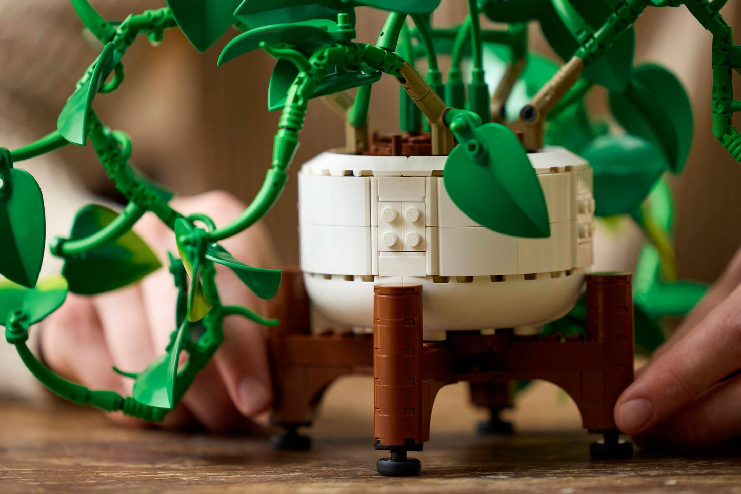 11512 ESCLUSIVA LEGO BOTANICALS - Potos