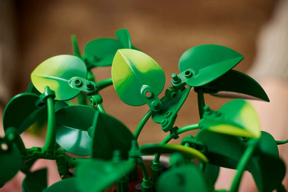 11512 ESCLUSIVA LEGO BOTANICALS - Potos