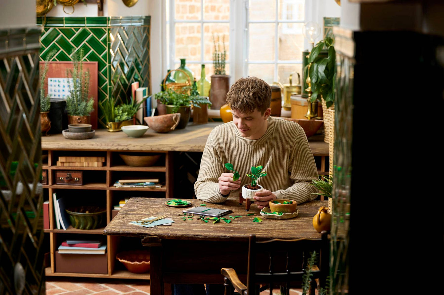11512 ESCLUSIVA LEGO BOTANICALS - Potos