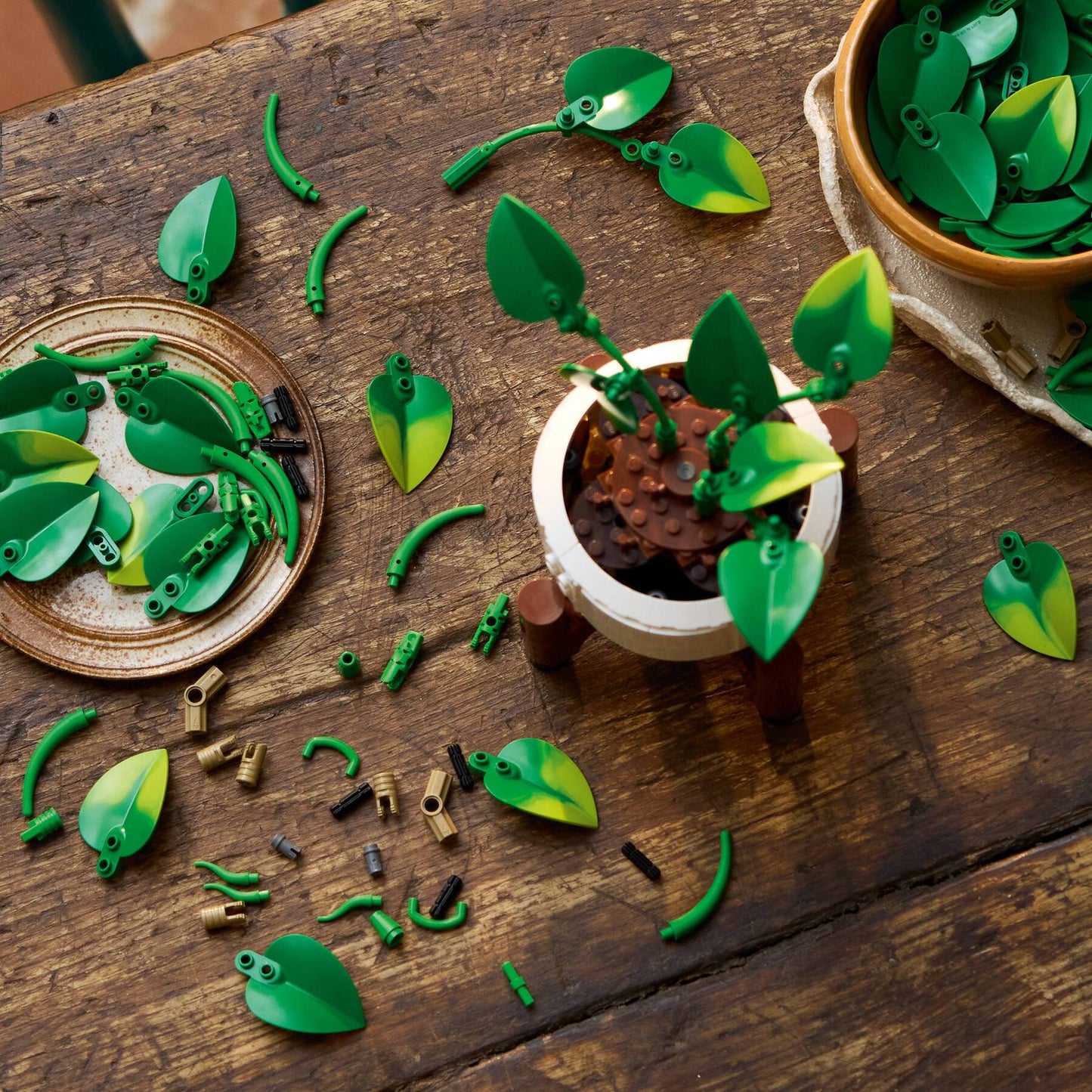 11512 ESCLUSIVA LEGO BOTANICALS - Potos