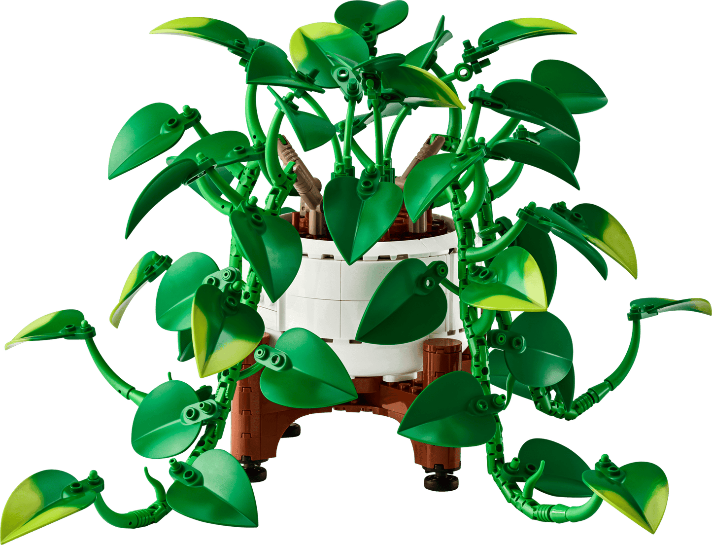 11512 ESCLUSIVA LEGO BOTANICALS - Potos