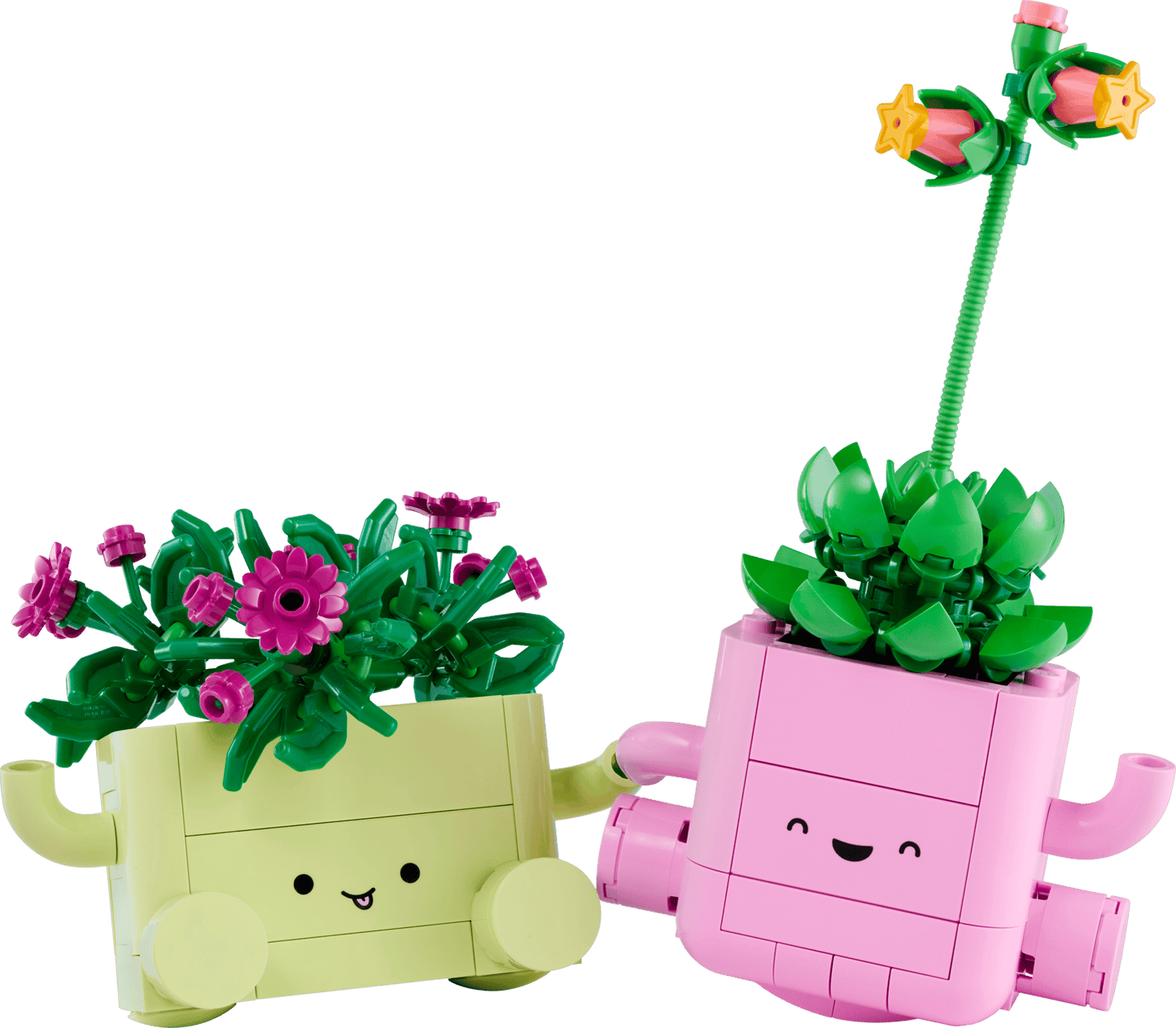 11506 LEGO BOTANICALS - Piante dondolanti
