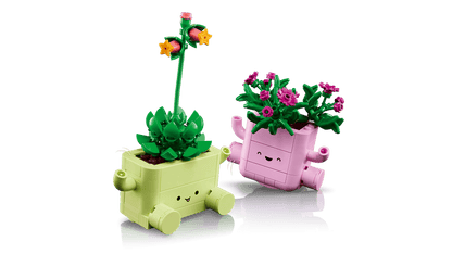 11506 LEGO BOTANICALS - Piante dondolanti