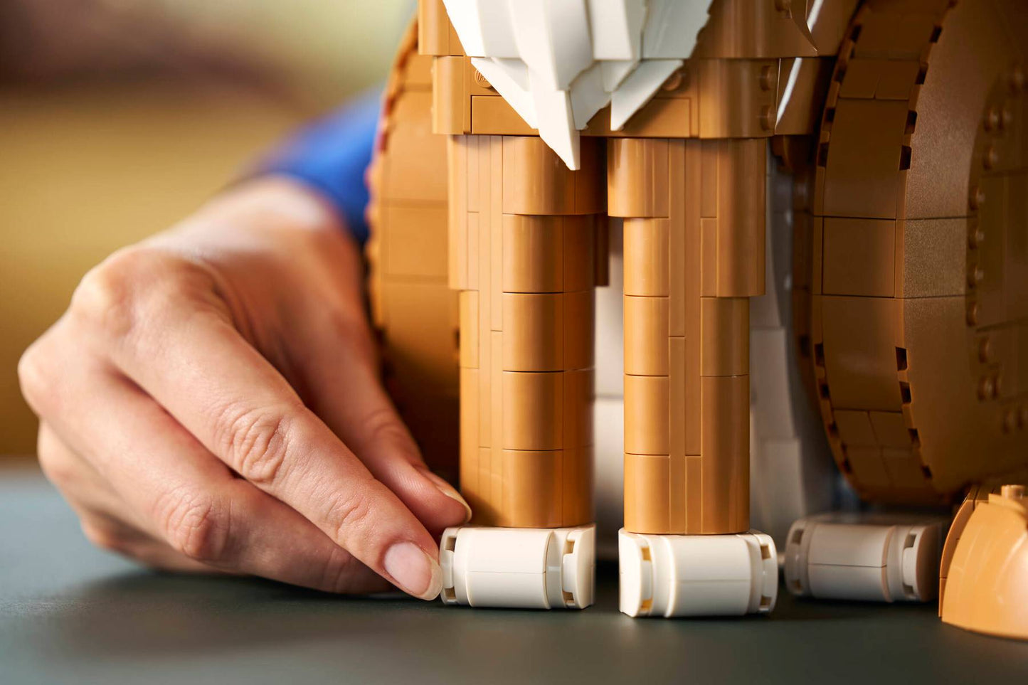 21376 ESCLUSIVA LEGO Ideas - Gatto soriano