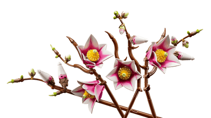 11510 LEGO BOTANICALS - Rametti di magnolia