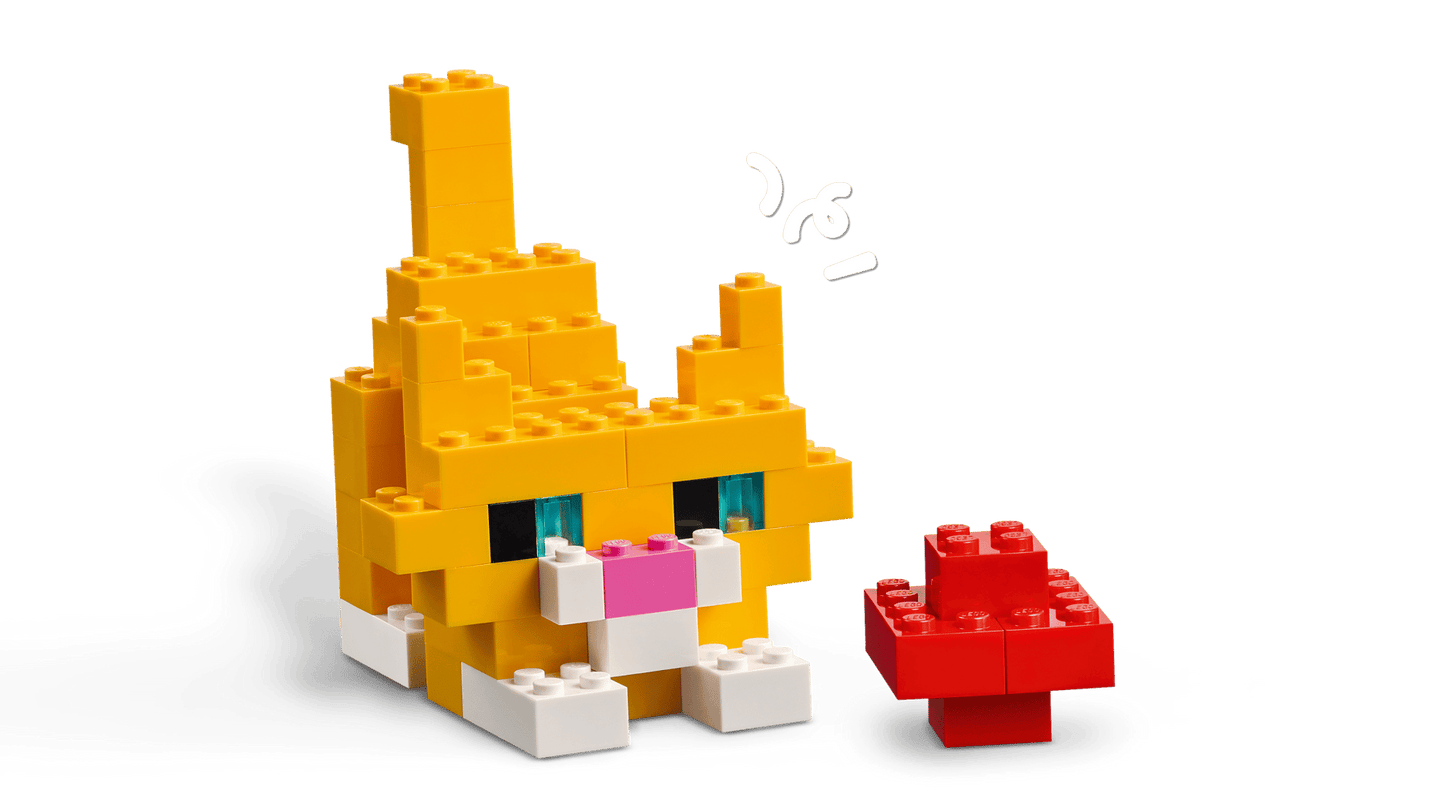 11045 LEGO Classic - Mattoncini colorati creativi