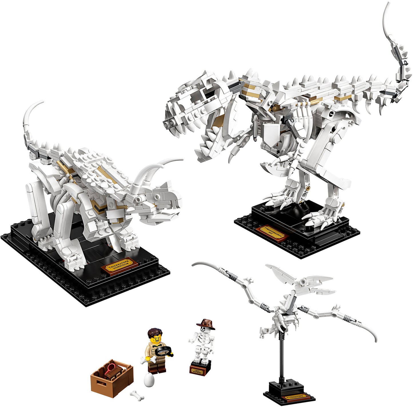 21320 LEGO Ideas - Fossili di Dinosauro