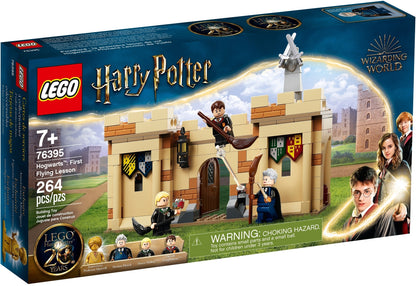 76395 LEGO Harry Potter - Hogwarts: Prima Lezione di Volo